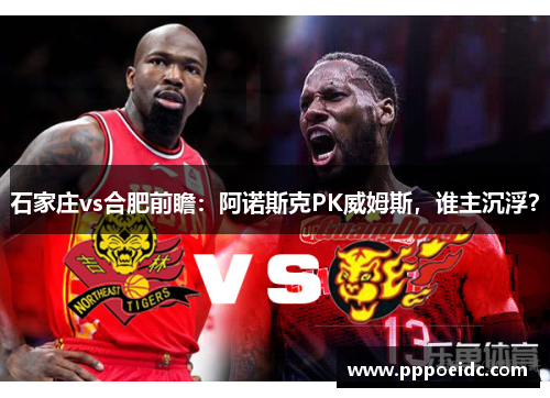 石家庄vs合肥前瞻：阿诺斯克PK威姆斯，谁主沉浮？